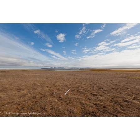 The Bear Island (Bjørnøya) book: barren tundra and inland landscape
