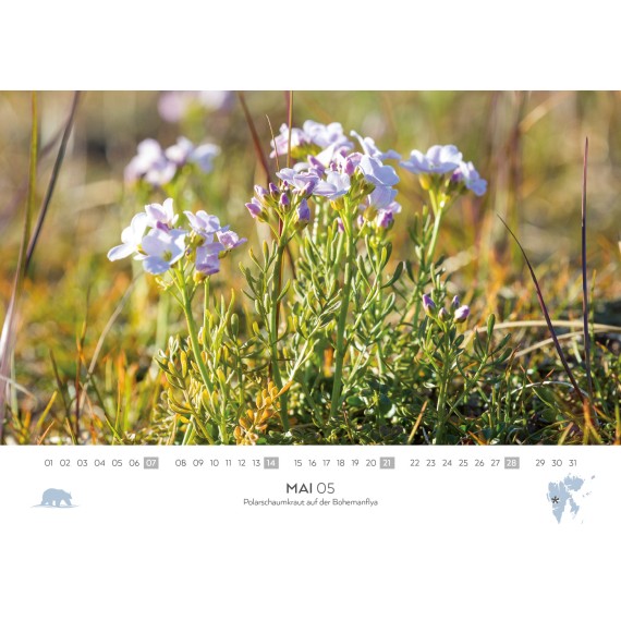 Spitsbergen/Bear Island/Jan Mayen calendar 2023 (double calendar)