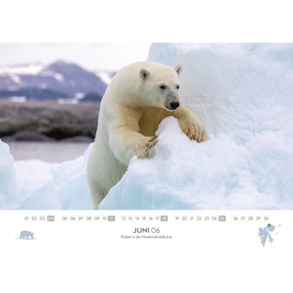 Spitsbergen/Bear Island/Jan Mayen calendar 2023 (double calendar)