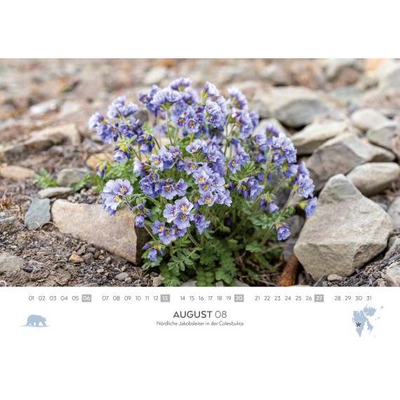 Spitsbergen/Bear Island/Jan Mayen calendar 2023 (double calendar)