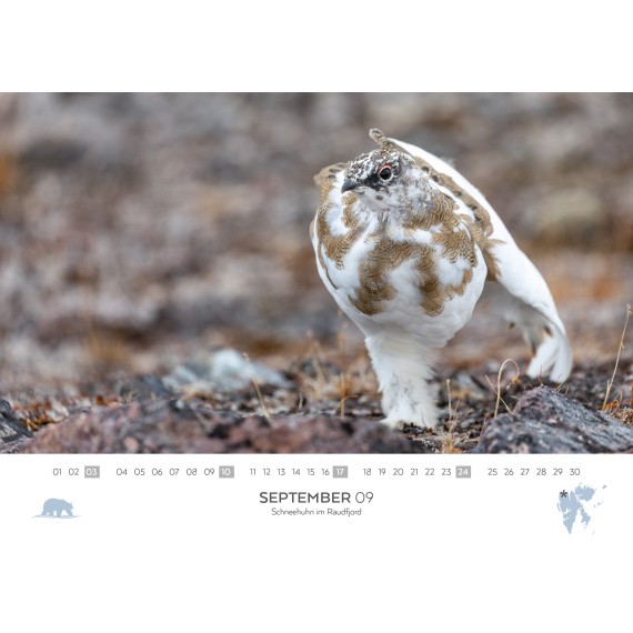 Spitsbergen/Bear Island/Jan Mayen calendar 2023 (double calendar)