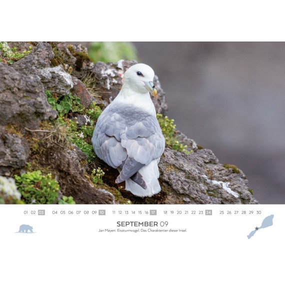 Spitsbergen/Bear Island/Jan Mayen calendar 2023 (double calendar)