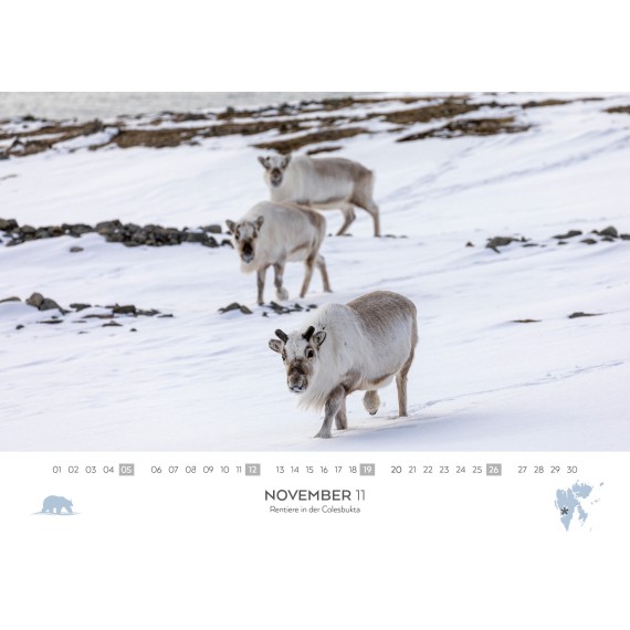 Spitsbergen/Bear Island/Jan Mayen calendar 2023 (double calendar)