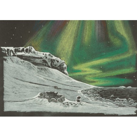 Arktische Weihnachten. The arctic Christmas book (German).