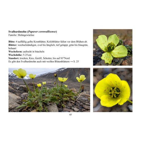 Greenland - a guidebook to the flowers