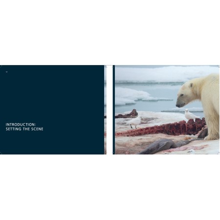 Polar bears on the edge: the threat of hunting for polar bears