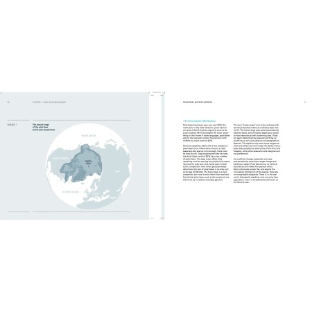 Polar bears on the edge: the threat of hunting for polar bears