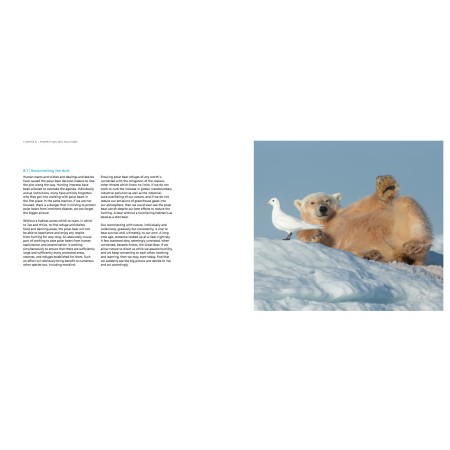 Polar bears on the edge: the threat of hunting for polar bears