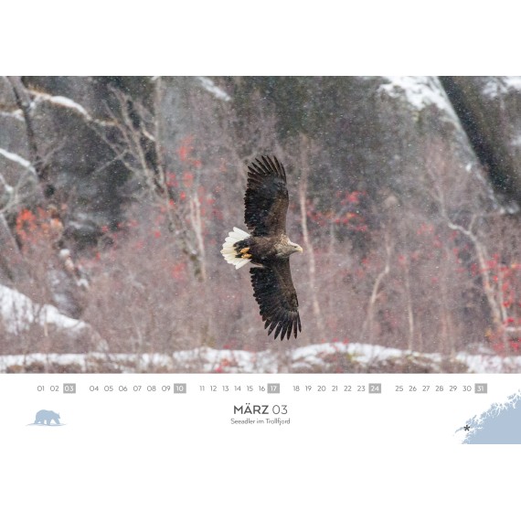 Spitsbergen & Norway calendar 2024 (double calendar)