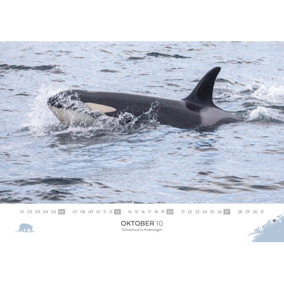 Spitsbergen & Norway calendar 2024 (double calendar)