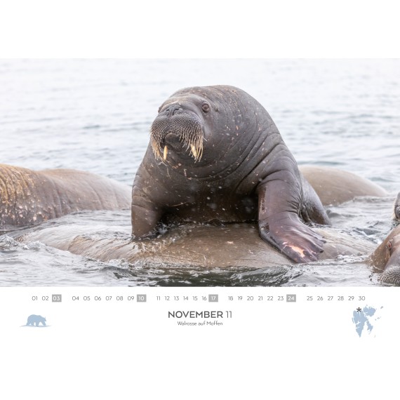 Spitsbergen & Norway calendar 2024 (double calendar)