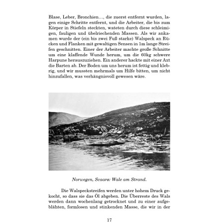 Spitzbergen: Reisebeschreibung von 1896, von Maurice Letellier