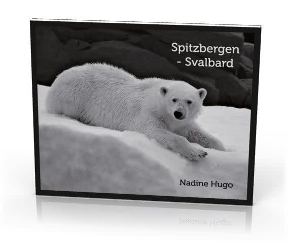 Spitzbergen Svalbard. Monochrome photo book, Nadine Hugo. Cover: polar bear.