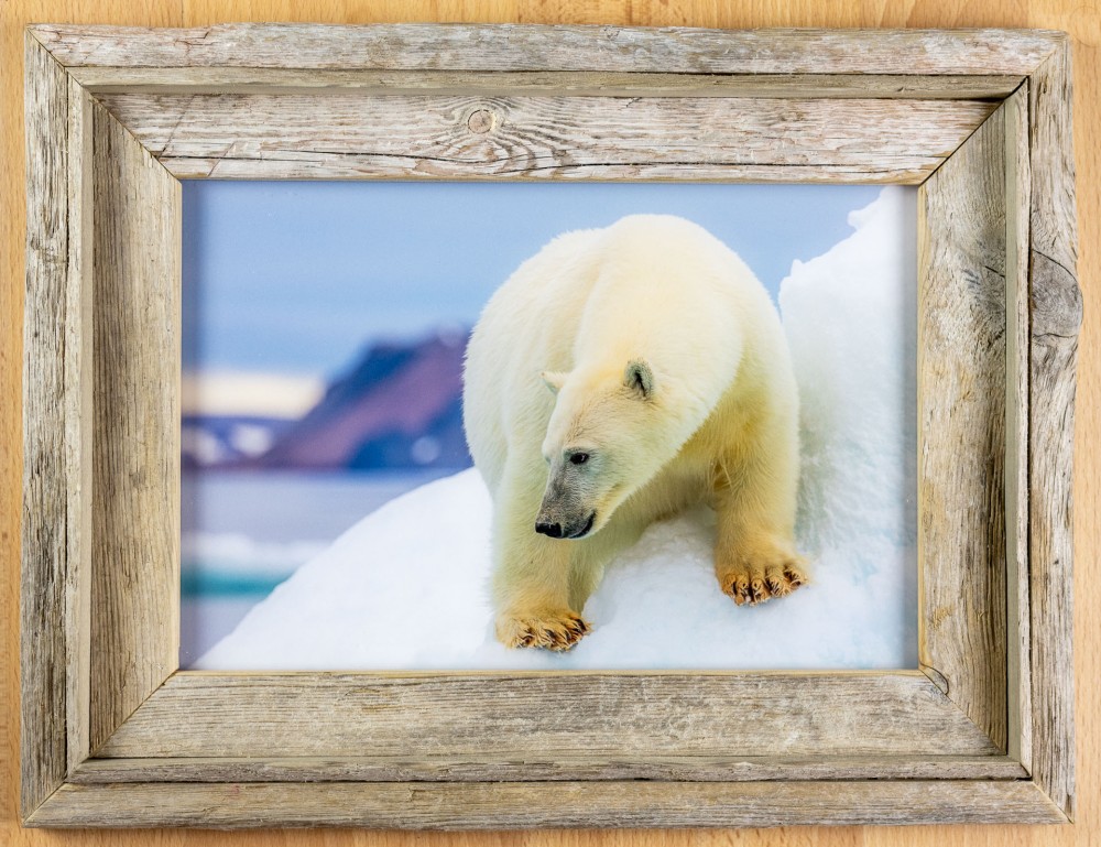 Spitsbergen driftwood picture frame from Longyearbyen, Svalbard