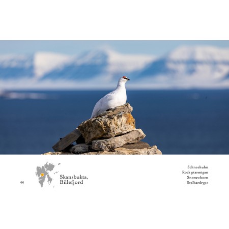 Spitzbergen – Kalte Schönheit – Das Fotobuch