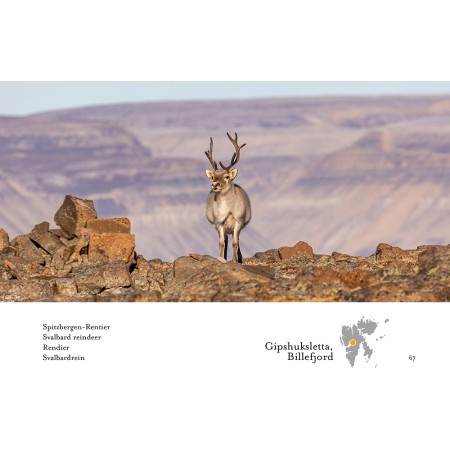Spitsbergen – Kald skjønnhet. Svalbard Fotobok