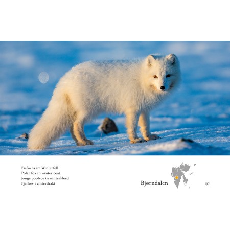 Spitzbergen – Kalte Schönheit – Das Fotobuch