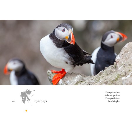Spitsbergen - Cold Beauty. The Svalbard photo book