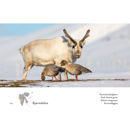 Spitzbergen – Kalte Schönheit – Das Fotobuch