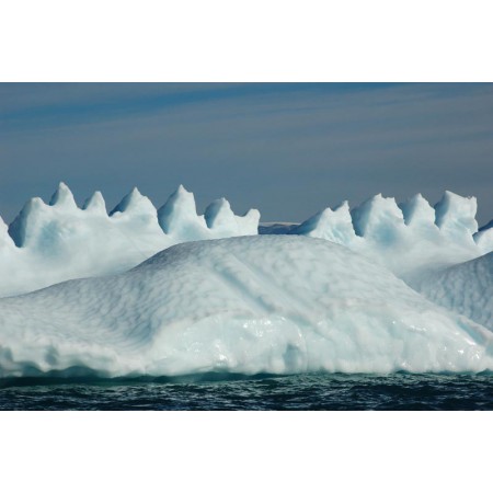 Greenland - a guidebook to the flowers
