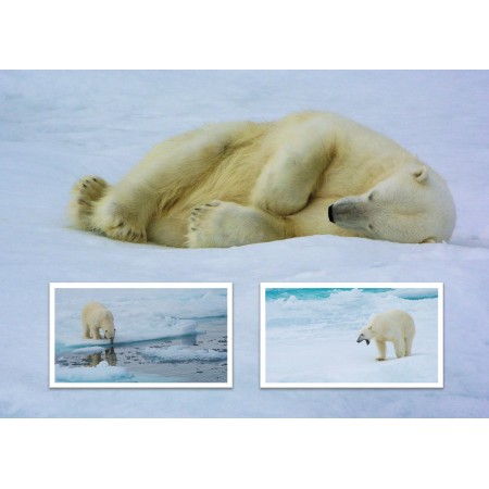 Arktische Weihnachten. Arctic Christmas book, Rolf Stange, Norbert Wachter