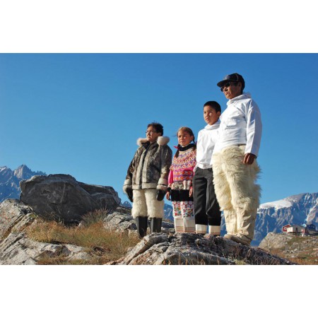 Greenland - a guidebook to the flowers