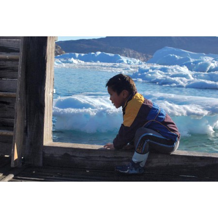 Greenland - a guidebook to the flowers