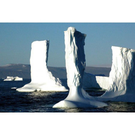 Greenland - a guidebook to the flowers