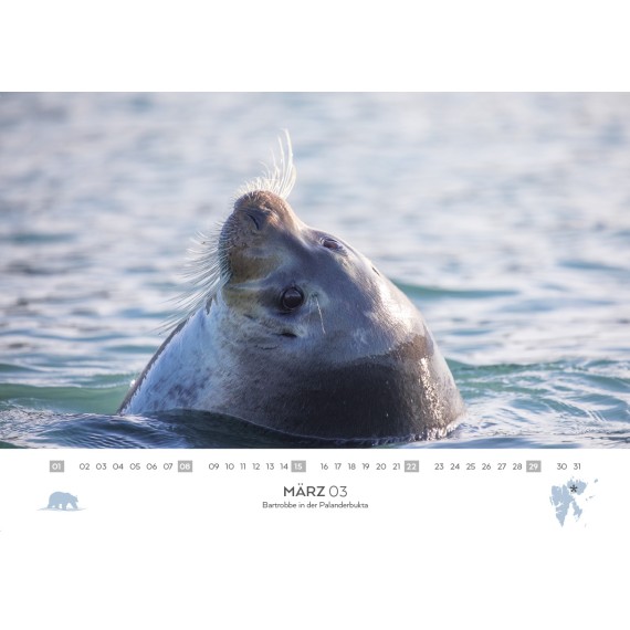Spitsbergen & arctic sailing ships calendar 2026 (double calendar)