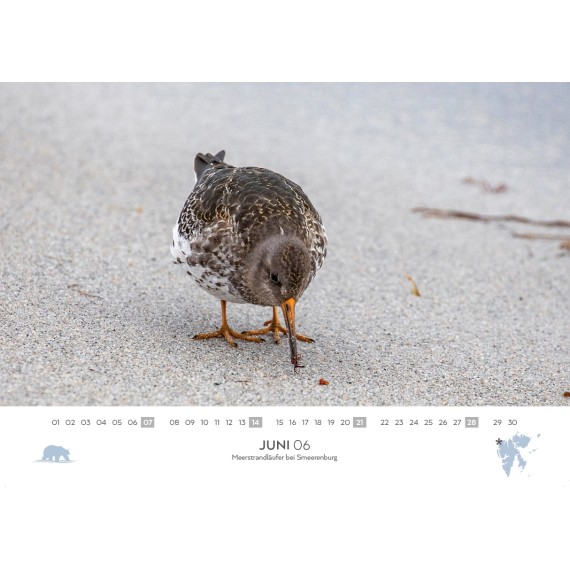 Spitsbergen & arctic sailing ships calendar 2026 (double calendar)