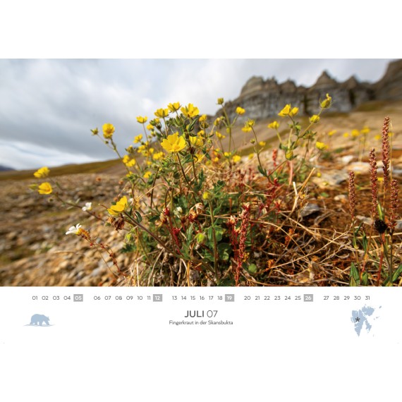 Spitsbergen & arctic sailing ships calendar 2026 (double calendar)