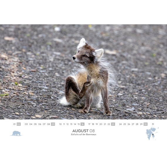 Spitsbergen & arctic sailing ships calendar 2026 (double calendar)