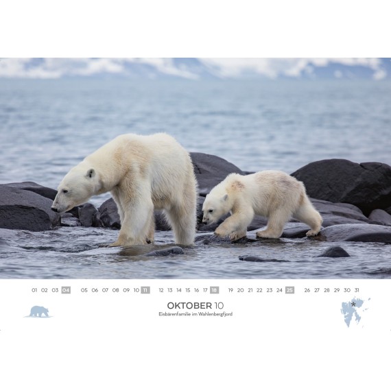 Spitsbergen & arctic sailing ships calendar 2026 (double calendar)