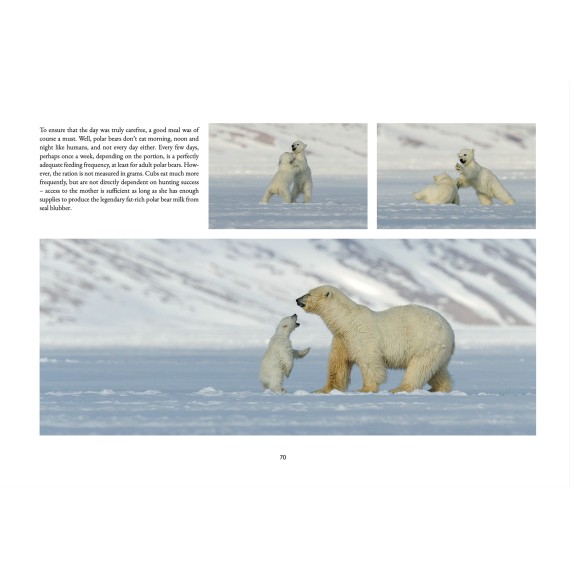 Norway's arctic North (1). Svalbard: From polar night to midnight sun