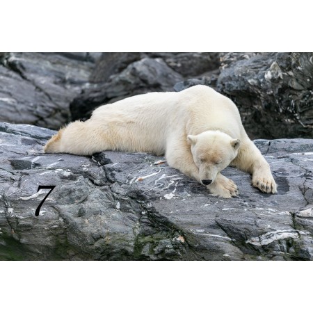 Spitsbergen driftwood picture frame from Longyearbyen, Svalbard