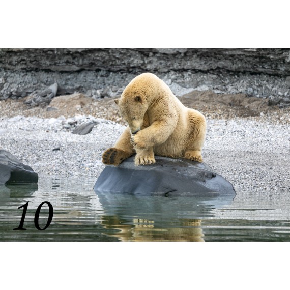 Spitsbergen driftwood picture frame Spitsbergen driftwood picture frame