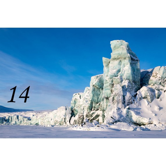 Bilderrahmen aus Spitzbergen-Treibholz