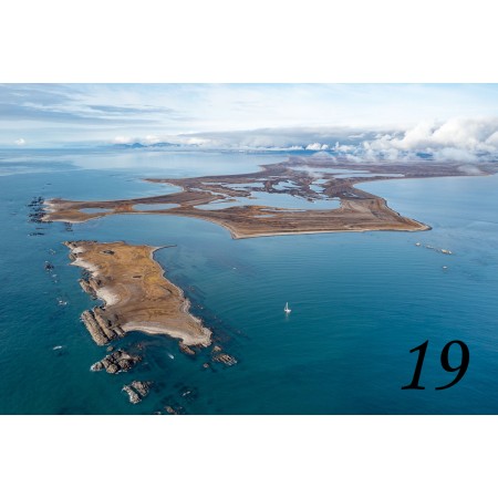 Svalbard drivved bilderamme fra Longyearbyen. Et stykke arktis hjemme!