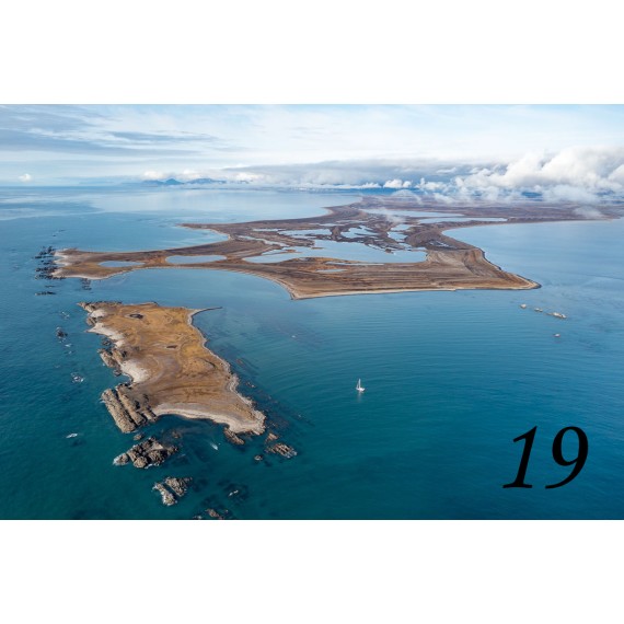 Bilderrahmen aus Spitzbergen-Treibholz