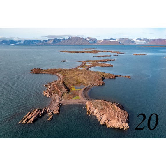 Bilderrahmen aus Spitzbergen-Treibholz