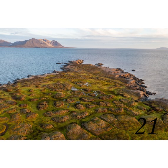 Bilderrahmen aus Spitzbergen-Treibholz