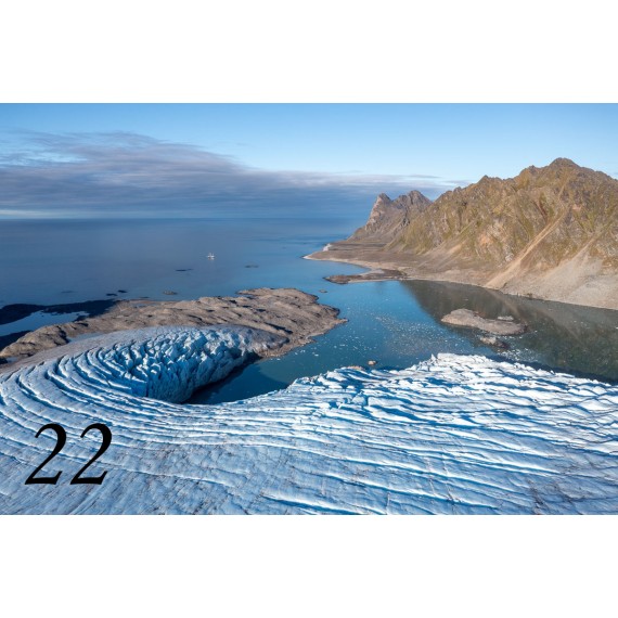 Svalbard drivved bilderamme