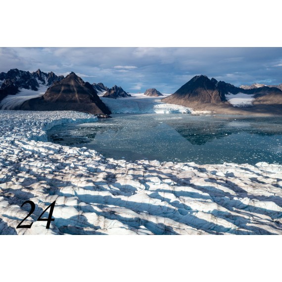 Svalbard drivved bilderamme