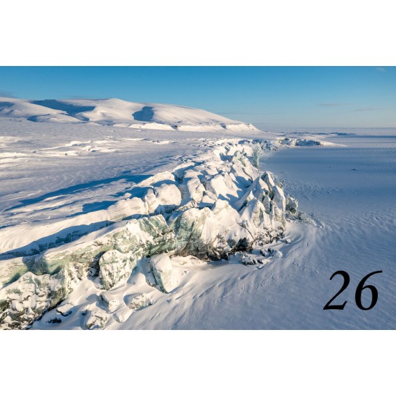 Svalbard drivved bilderamme