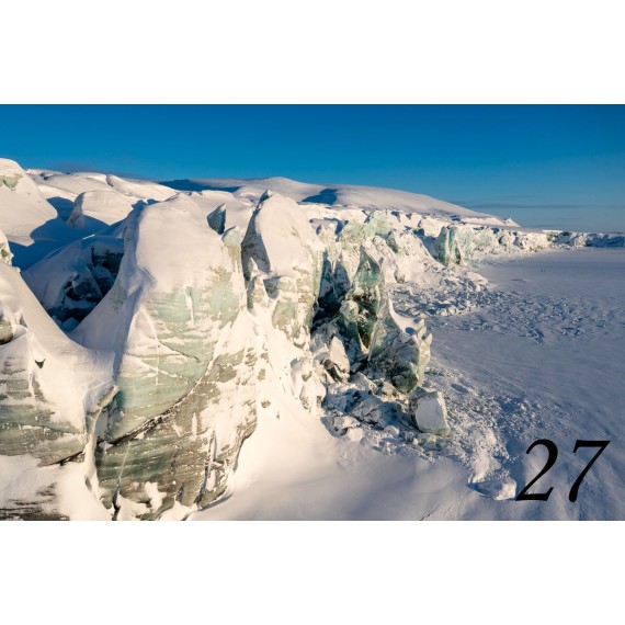 Svalbard drivved bilderamme