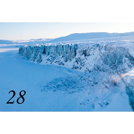 Svalbard drivved bilderamme