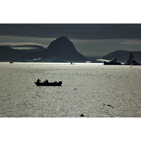 Greenland - a guidebook to the flowers