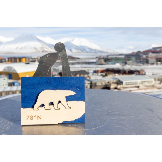 Fridge magnets from Longyearbyen
