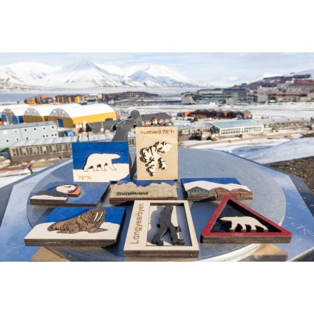 Kühlschrankmagnete von Alt i 3 in Longyearbyen, Spitzbergen