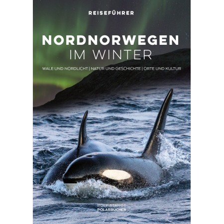 Travel guide: Northern Norway in winter. Whales and Northern Lights